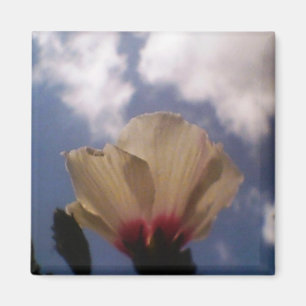 Die weiße Rose im wolkigen blauen Himmel Magnet
