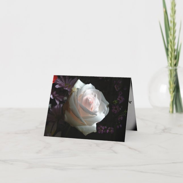 Die weiße Rose Karte (Vorderseite)