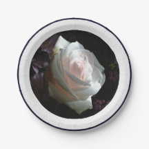 Die weiße Rose