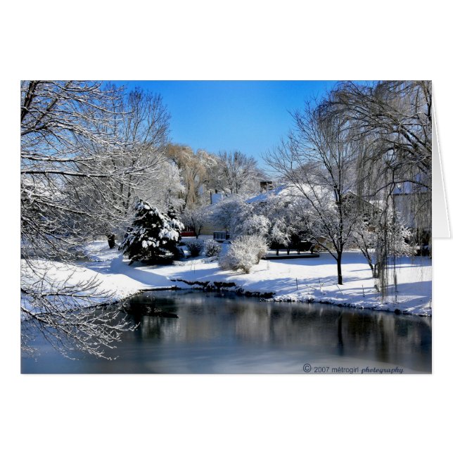 Die weiße Welt spricht ohne Klang. (Vorderseite (Horizontal))