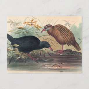 Die Weka-Schiene von Joseph Wolf Postkarte