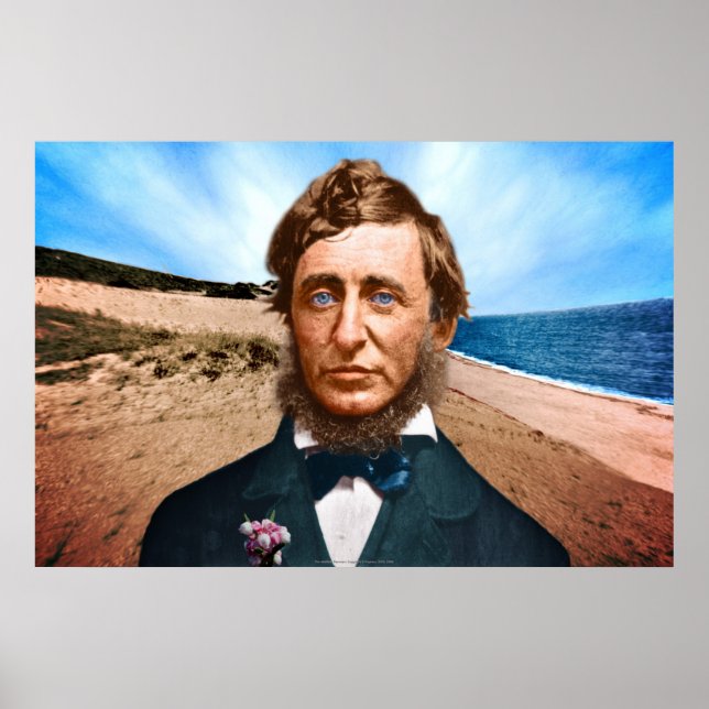 Die Wellfleet Penman Poster (Vorne)