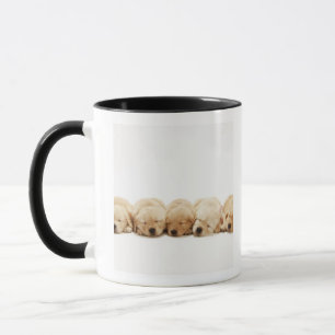 Die Welpen des golden retriever Tasse
