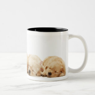 Die Welpen des golden retriever Zweifarbige Tasse