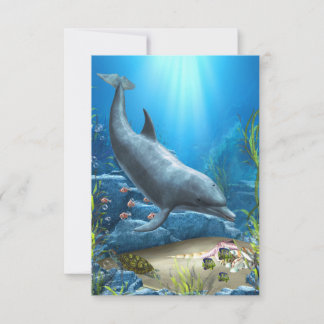 Die Welt der Dolphin