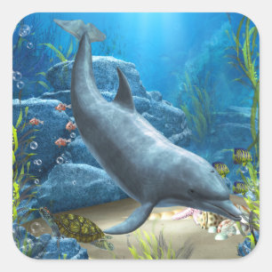 Die Welt des Dolphin Sticker