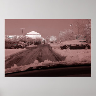 die Welt durch die Rose farbige Brillen sehen Poster