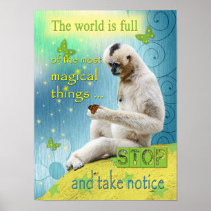 Die Welt ist von der Magie voll Poster
