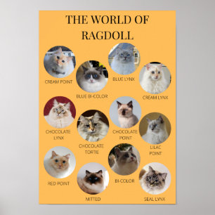 Die Welt von Ragdoll, Printable A3 oder kleiner Poster