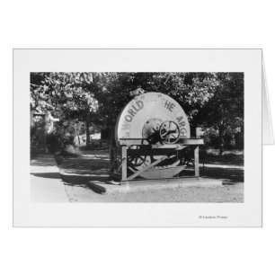 Die weltgrößte Grindstone Buffalo Ranch