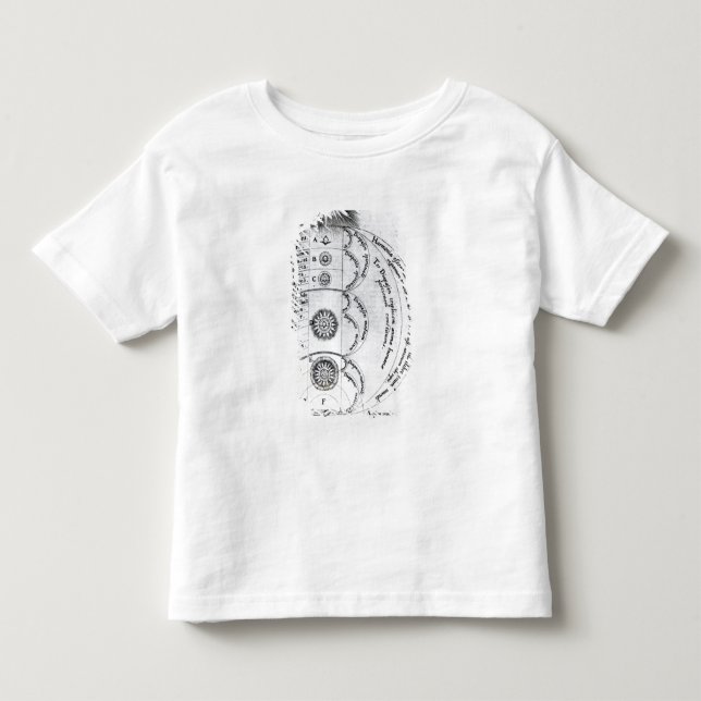 Die wesentliche Harmonie Kleinkind T-shirt (Vorderseite)