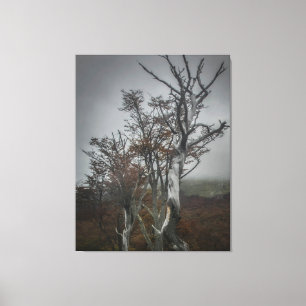 Die Widerstandskraft der Natur: Tierra del Fuego,  Leinwanddruck