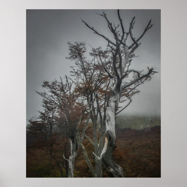 Die Widerstandskraft der Natur: Tierra del Fuego,  Poster (Vorne)