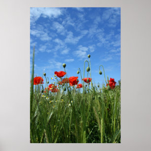Die Wiese Poster