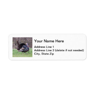 Die wilde Türkei