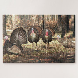 Die wilde Türkei im Vogel Puzzle