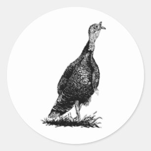 Die wilde Türkei (Linie Kunst) Runder Aufkleber