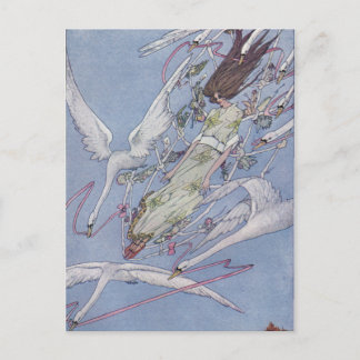 Die wilden Schwäne Postkarte