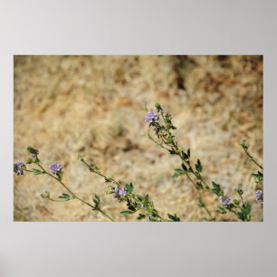 Die Wildnis von New Mexico Poster