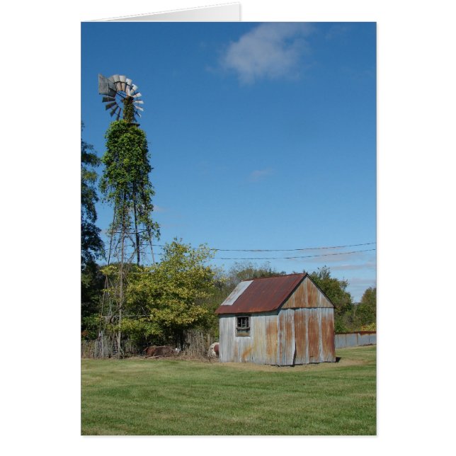 Die Windmühle und das Shed (Vorne)