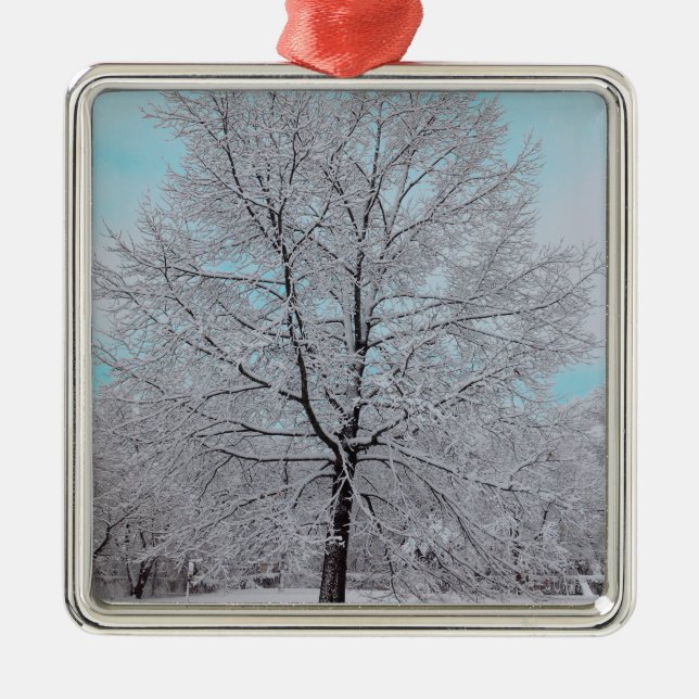 Die Winter-Eichen-Verzierung Silbernes Ornament (Vorne)