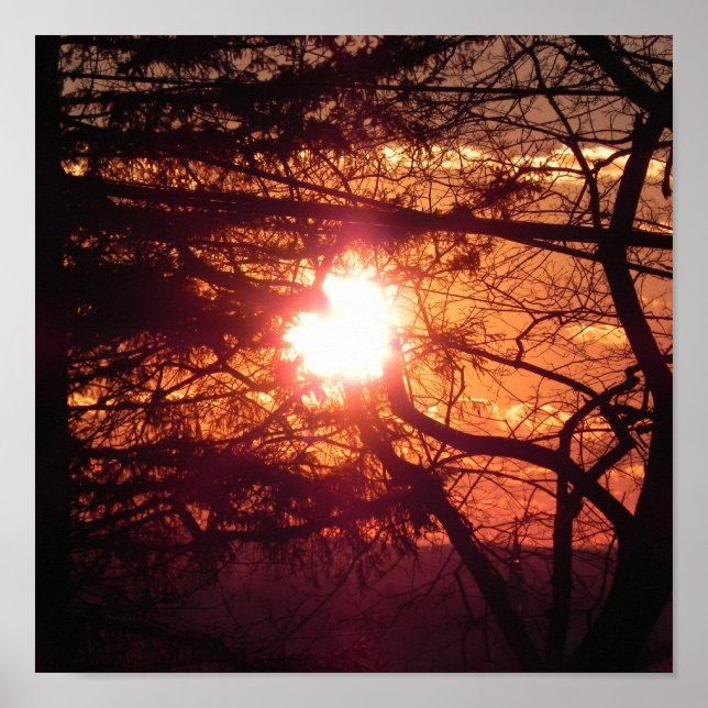 Die Wintersonne Poster (Vorne)