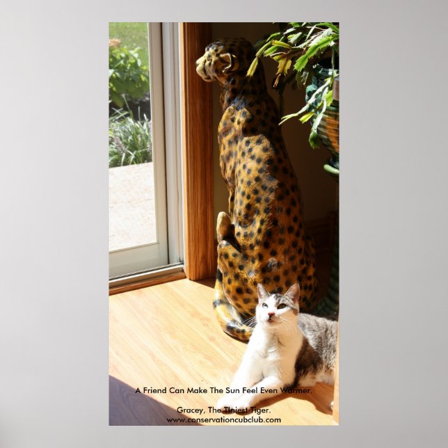 Die winzigsten Tiger und Bad Kitty Poster (Vorne)