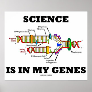 Die Wissenschaft steckt in meinen Genen (DNA-Repli Poster