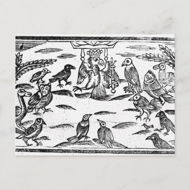 Die Woody Choristers oder die Harmonie der Vögel Postkarte (Vorderseite)