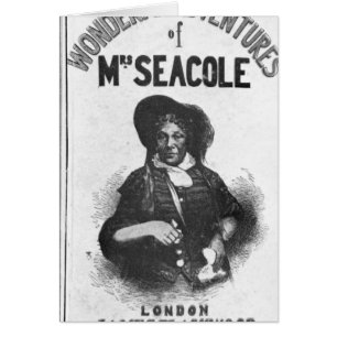 Die wunderbaren Abenteuer von Frau Seacole'