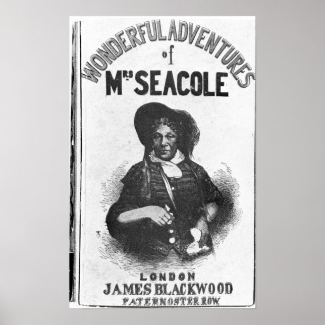 Die wunderbaren Abenteuer von Frau Seacole' Poster (Vorne)