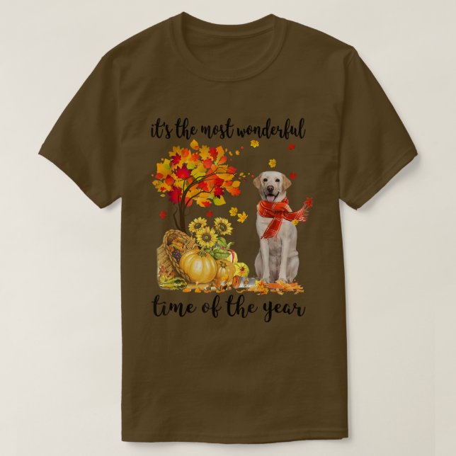 Die wunderbarste Herbstzeit Labrador Pumpki T-Shirt (Design vorne)