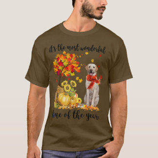 Die wunderbarste Herbstzeit Labrador Pumpki T-Shirt