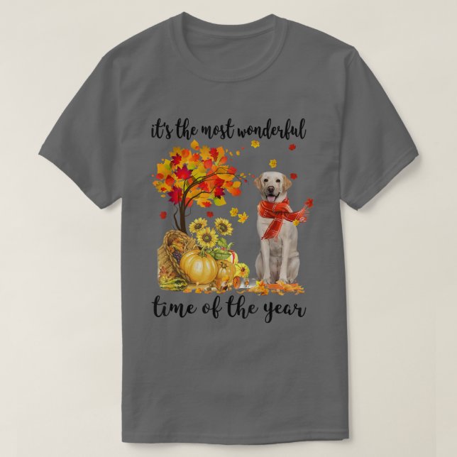 Die wunderbarste Herbstzeit Labrador Pumpki T-Shirt (Design vorne)