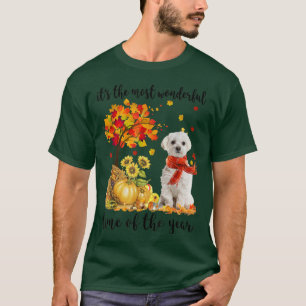 Die wunderbarste Herbstzeit maltesischer Kürbis T-Shirt