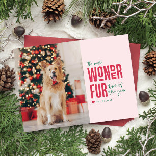 Die wunderbarste Weihnachtszeit-Hunde-Feiertags-Po Feiertagskarte