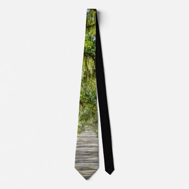 Die wunderschöne Avenue Oaks Neck Tie Krawatte (Vorderseite)