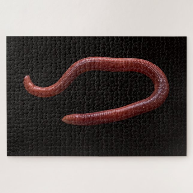 Die Wurmsammlung Puzzle (Horizontal)