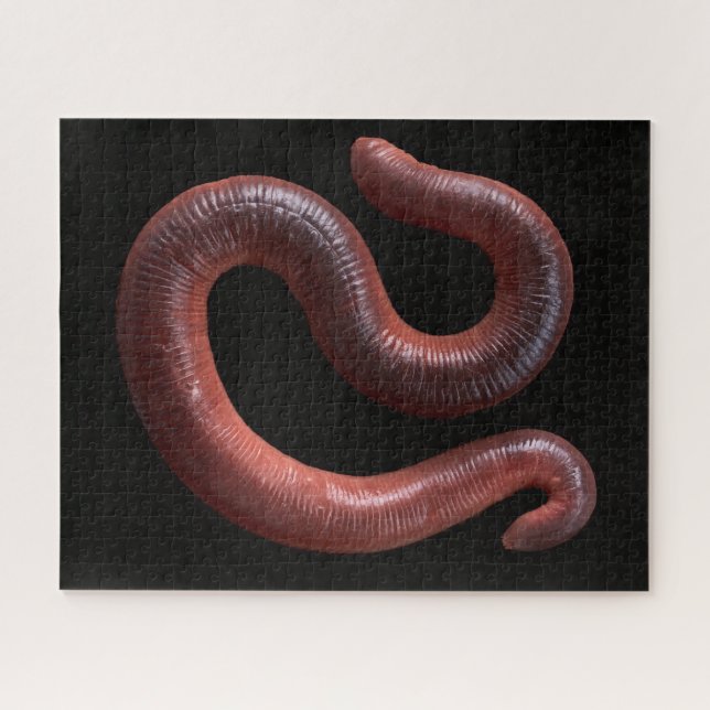 Die Wurmsammlung Puzzle (Horizontal)