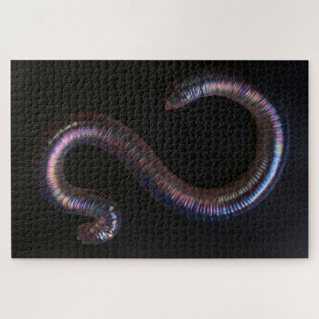 Die Wurmsammlung Puzzle (Horizontal)