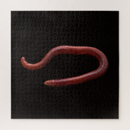 Die Wurmsammlung Puzzle