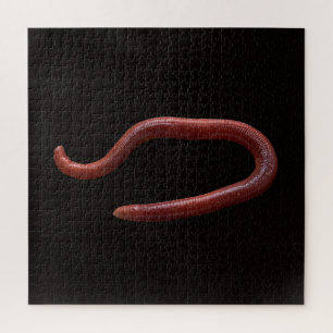 Die Wurmsammlung Puzzle