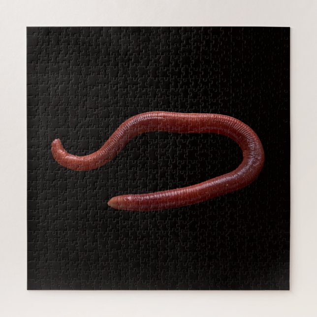 Die Wurmsammlung Puzzle (Vertikal)