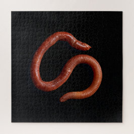 Die Wurmsammlung Puzzle