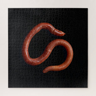 Die Wurmsammlung Puzzle