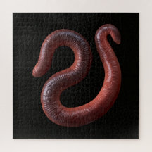 Die Wurmsammlung