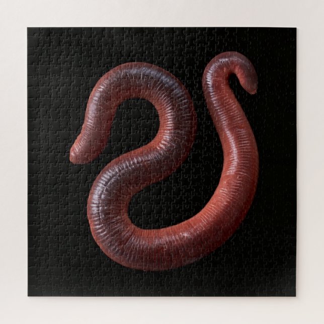 Die Wurmsammlung Puzzle (Vertikal)