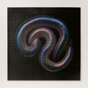 Die Wurmsammlung Puzzle