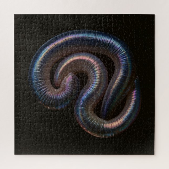 Die Wurmsammlung Puzzle (Vertikal)