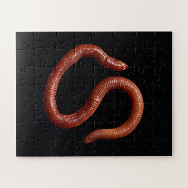 Die Wurmsammlung Puzzle (Horizontal)